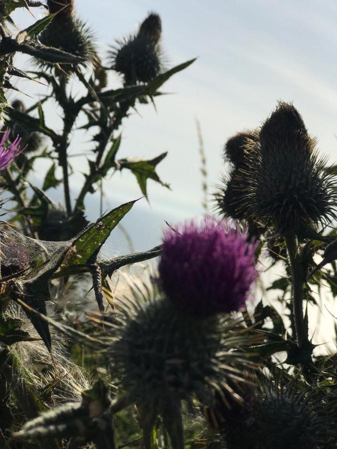 Bunnahabhain 5 - Farm Stay - Stunning Sea And Rural Views Stranraer Luaran gambar