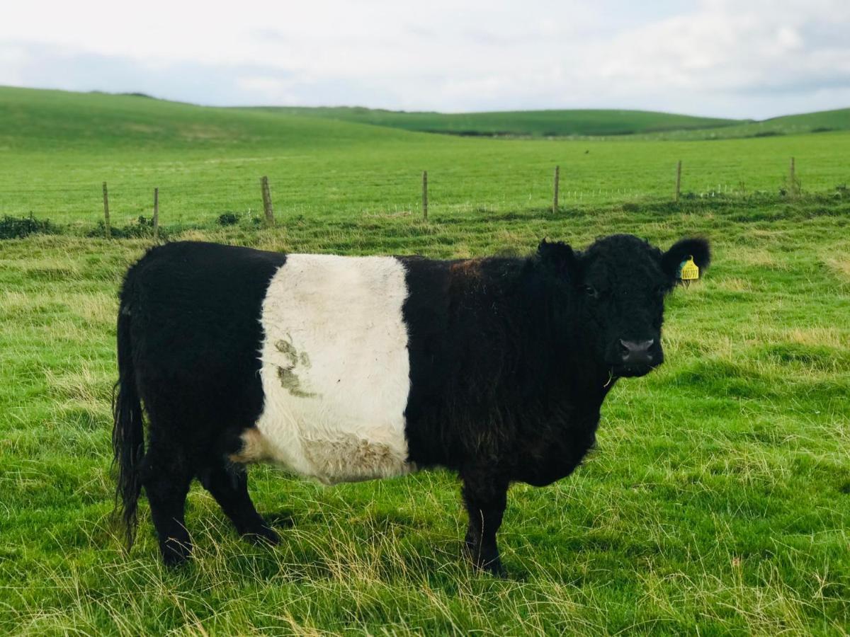 Bunnahabhain 5 - Farm Stay - Stunning Sea And Rural Views Stranraer Luaran gambar
