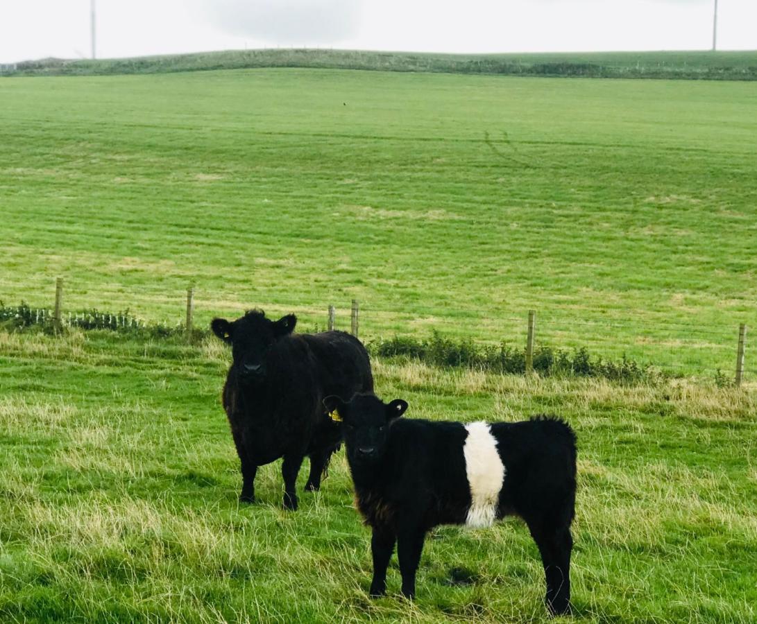 Bunnahabhain 5 - Farm Stay - Stunning Sea And Rural Views Stranraer Luaran gambar