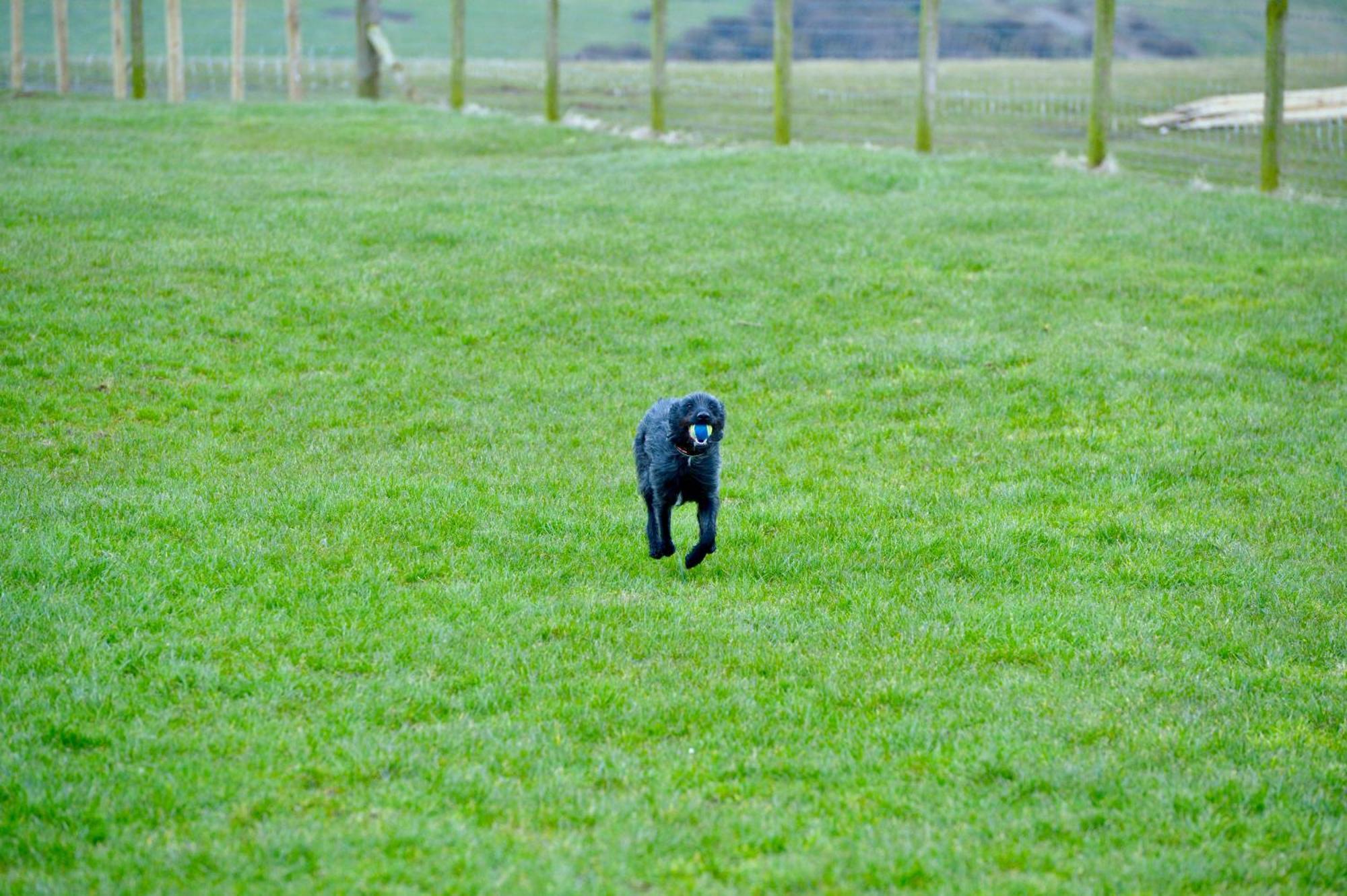 Bunnahabhain 5 - Farm Stay - Stunning Sea And Rural Views Stranraer Luaran gambar